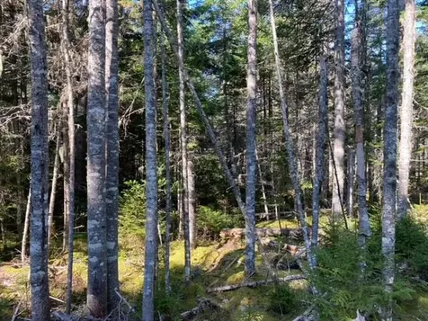 5 Mcheard Stream Lane Blue Hill ME 04614
