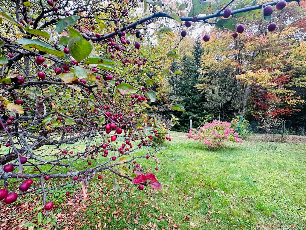40 Fox Run Lane Hancock ME 04640