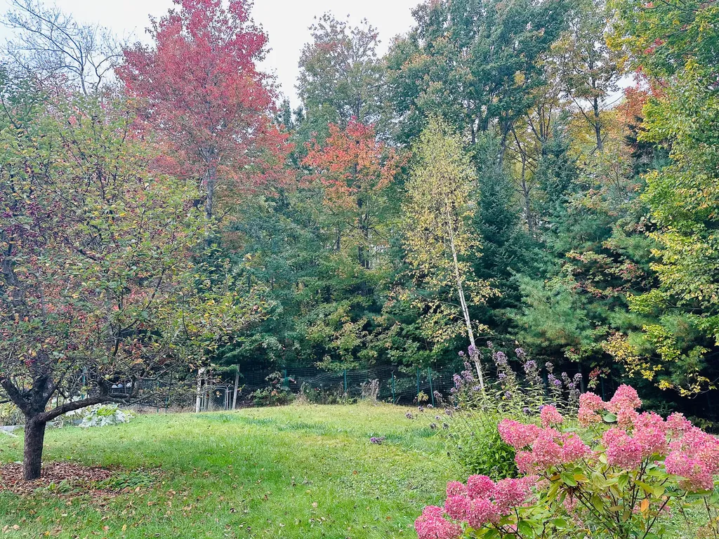 40 Fox Run Lane Hancock ME 04640