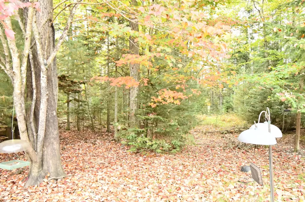 40 Fox Run Lane Hancock ME 04640
