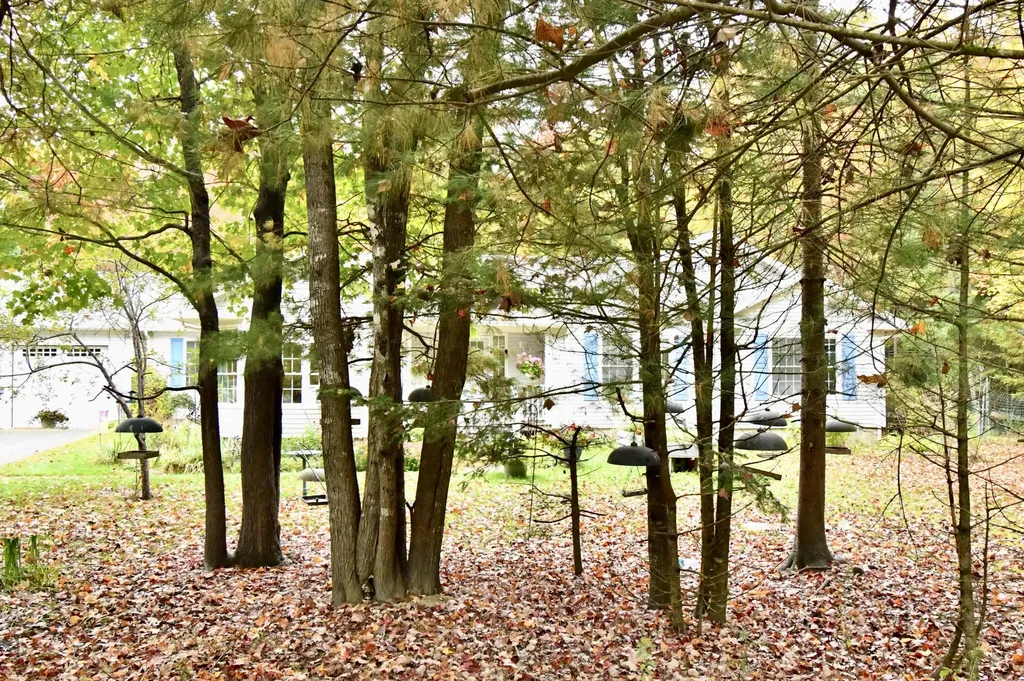 40 Fox Run Lane Hancock ME 04640