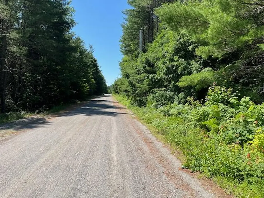 Lot 005 Dority Farm Road Mariaville ME 04605