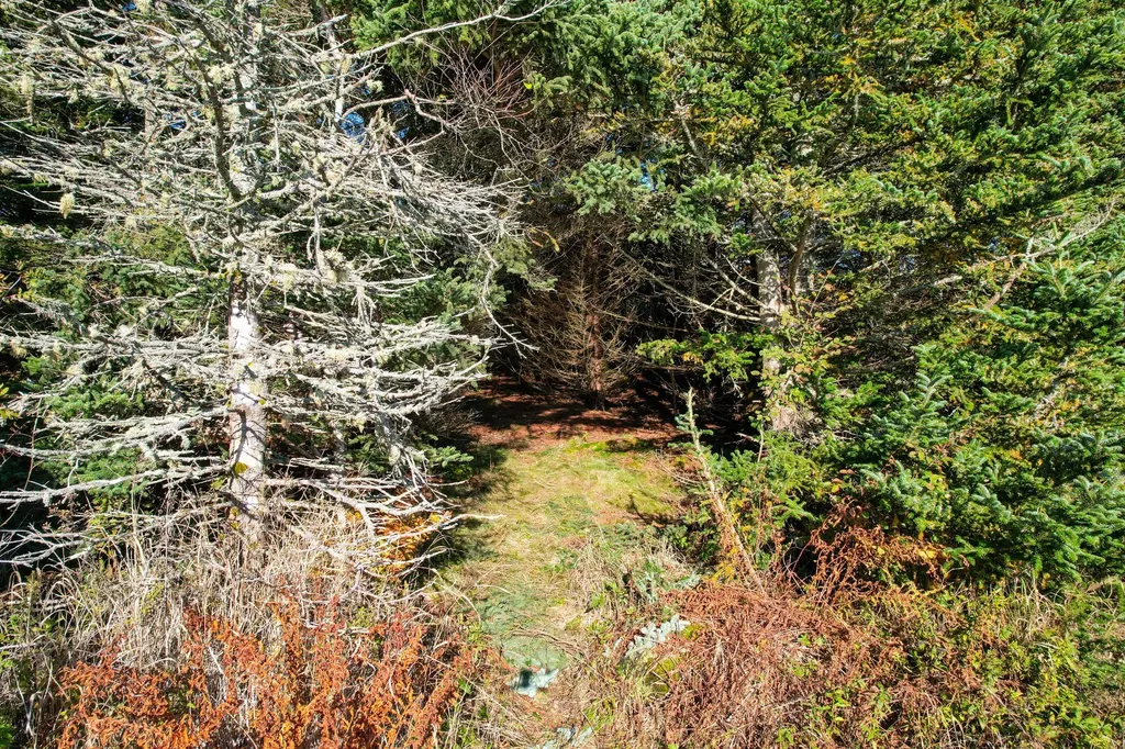 44 Rabbit Road Jonesport ME 04649