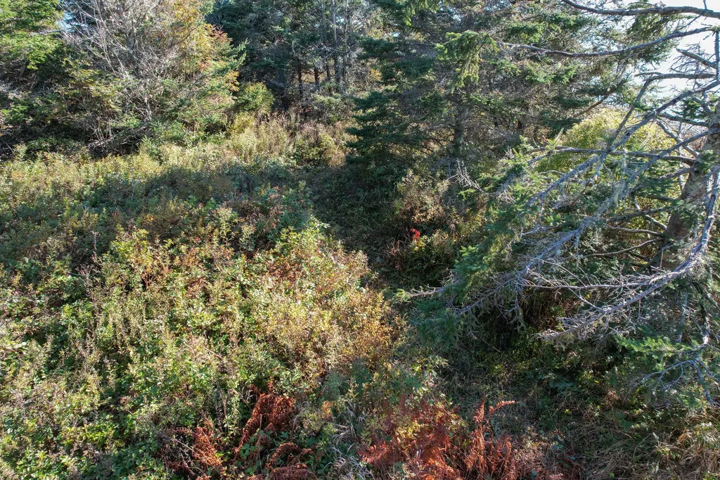 44 Rabbit Road Jonesport ME 04649