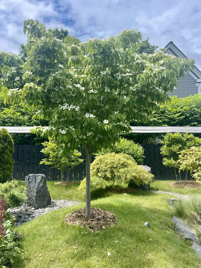 1 Spear Avenue Eastport ME 04631