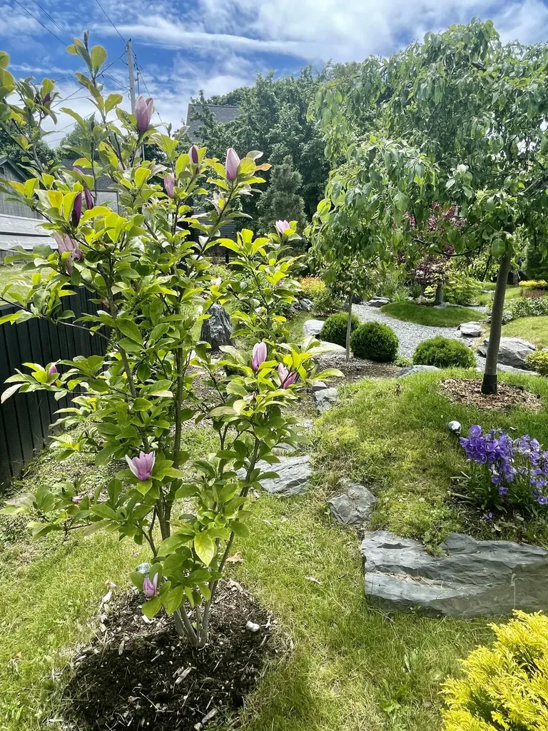 1 Spear Avenue Eastport ME 04631