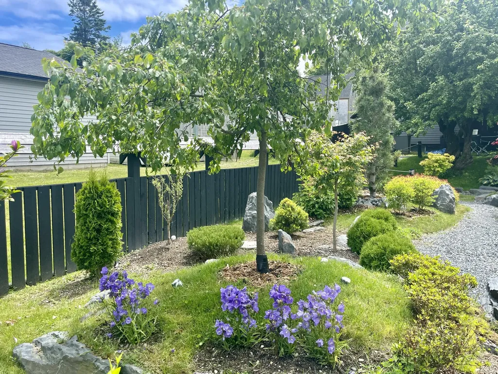 1 Spear Avenue Eastport ME 04631