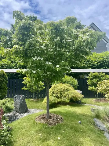 1 Spear Avenue Eastport ME 04631