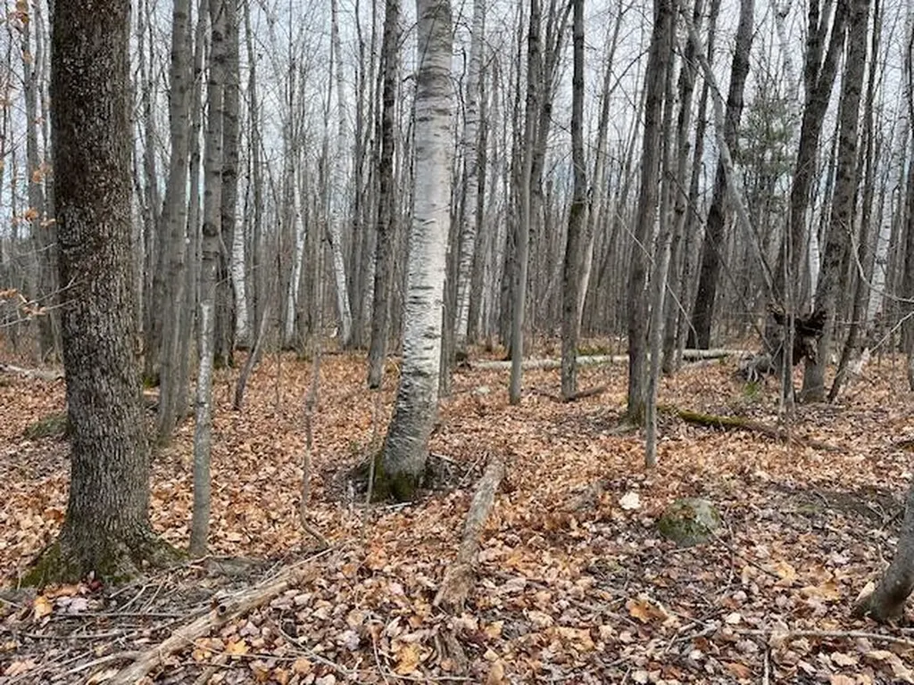 0 S Whitman School Road Buckfield ME 04220