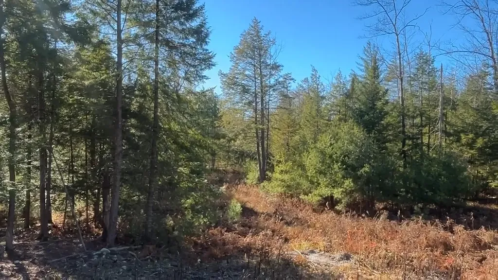 Lot 6 Naples Road Harrison ME 04040