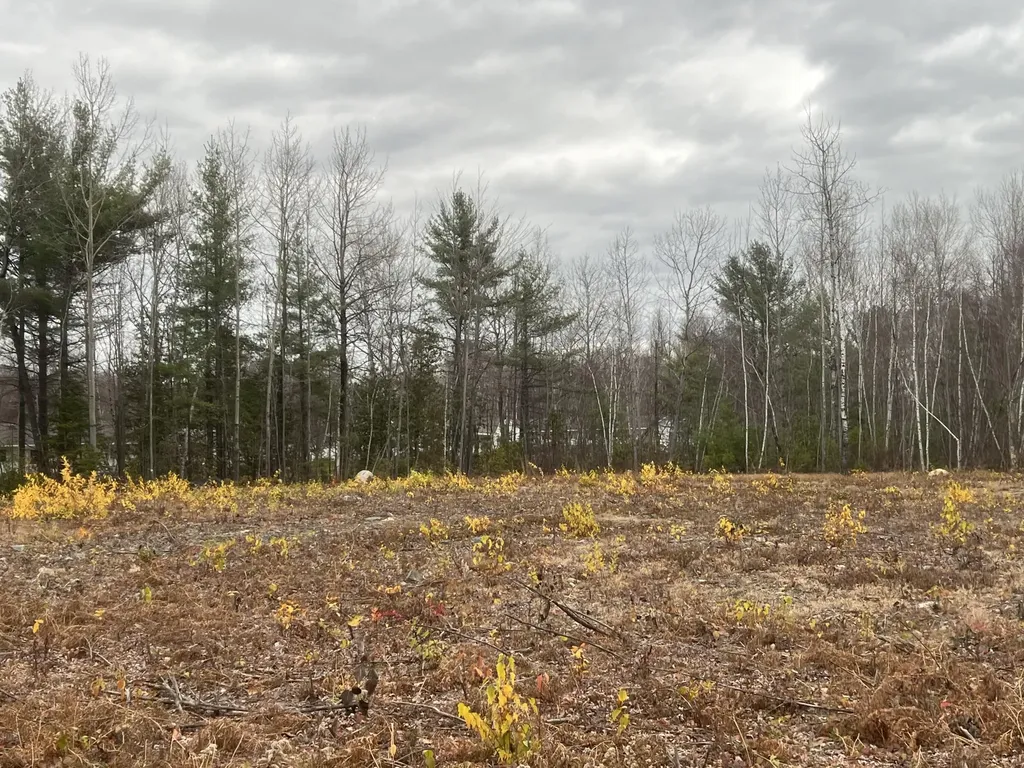 Lot # Fern Street Millinocket ME 04462