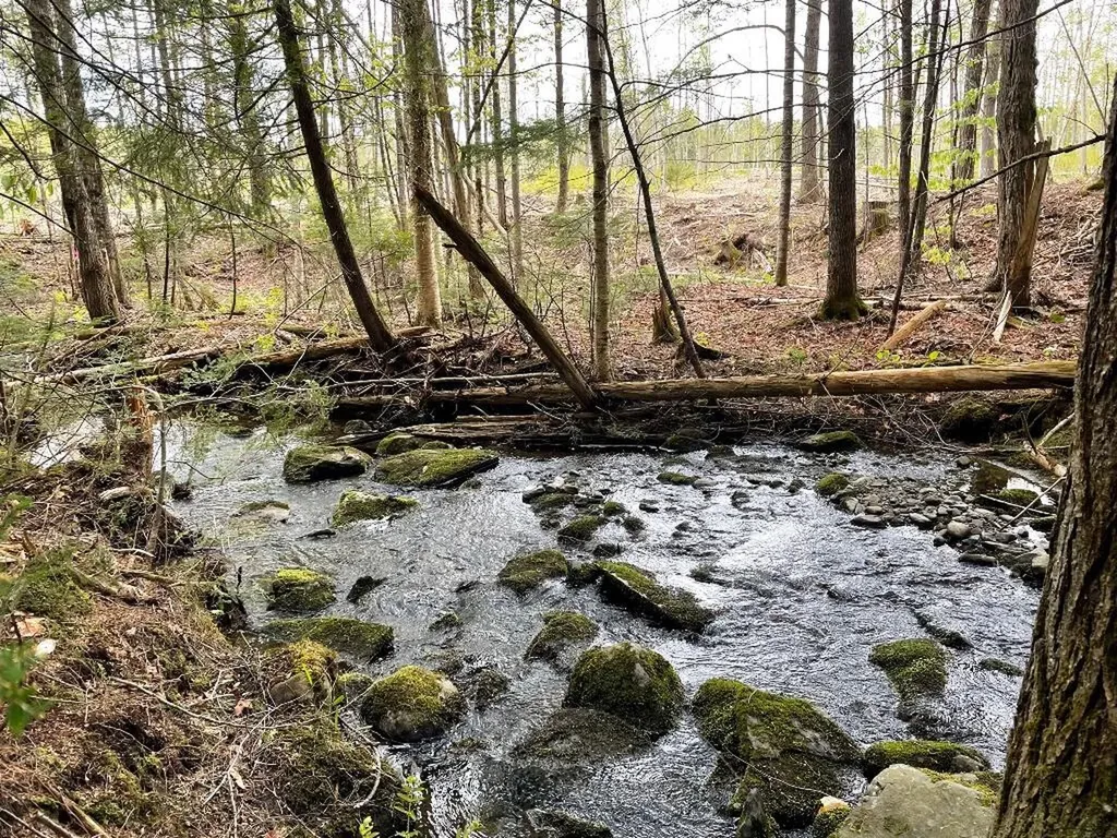 Lot #7 Hammond Brook Road Monson ME 04464