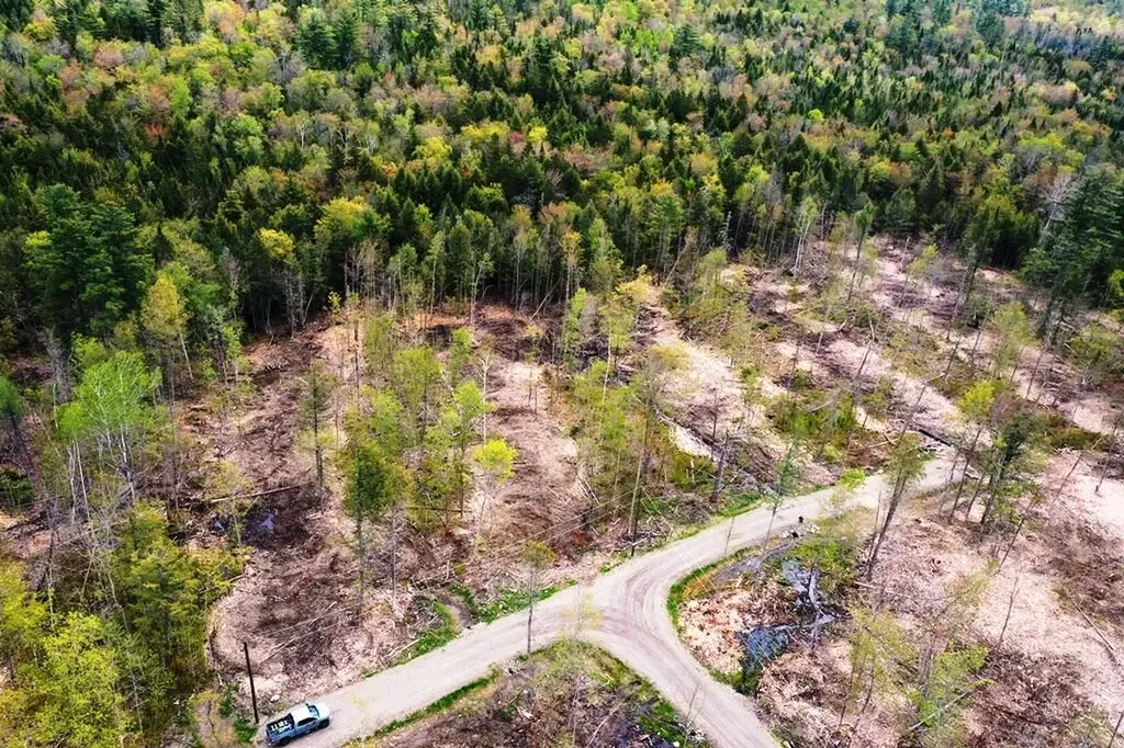 Lot #7 Hammond Brook Road Monson ME 04464