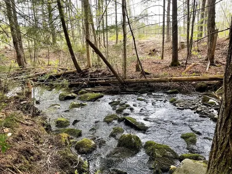 Lot #7 Hammond Brook Road Monson ME 04464