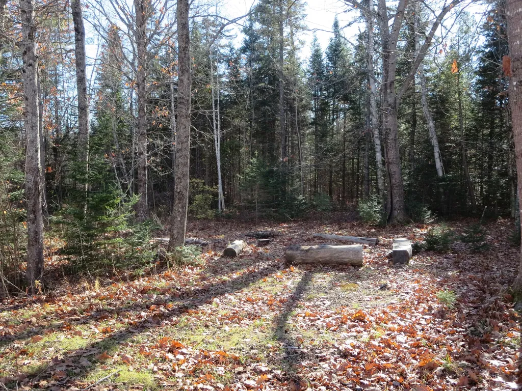 1756 Dexter Road Dover-foxcroft ME 04426