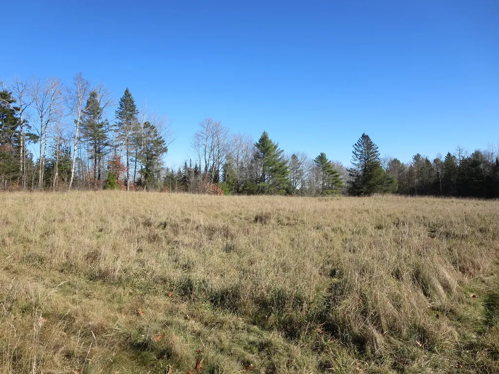 1756 Dexter Road Dover-foxcroft ME 04426