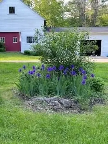 173 Darnit Road Buckfield ME 04220