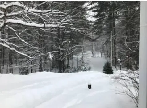 173 Darnit Road Buckfield ME 04220