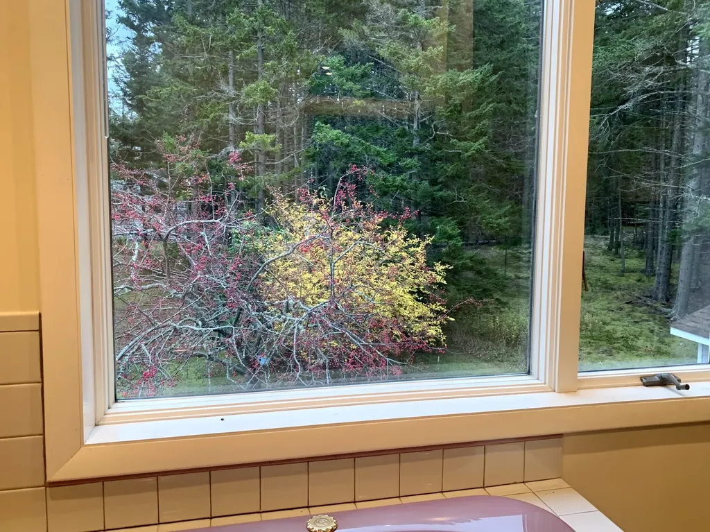 40 Deep Cove Road Eastport ME 04631