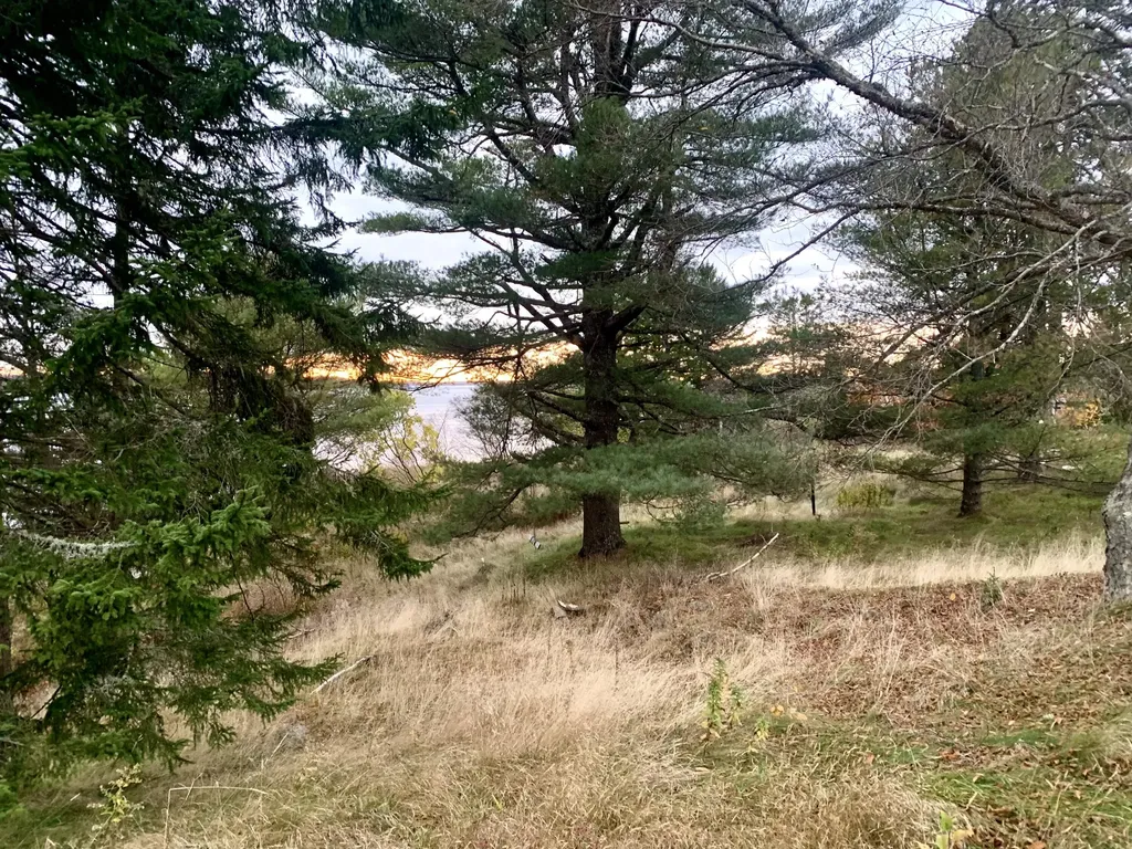 40 Deep Cove Road Eastport ME 04631