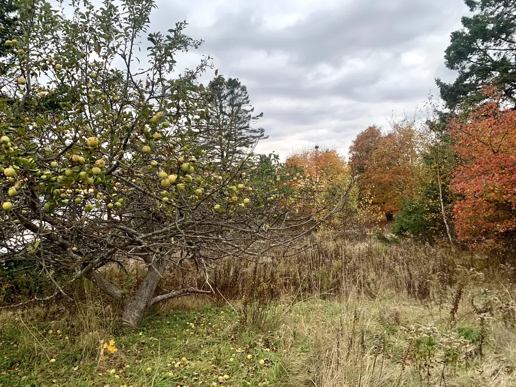 40 Deep Cove Road Eastport ME 04631
