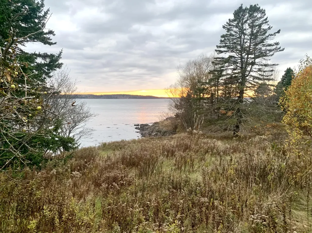 40 Deep Cove Road Eastport ME 04631