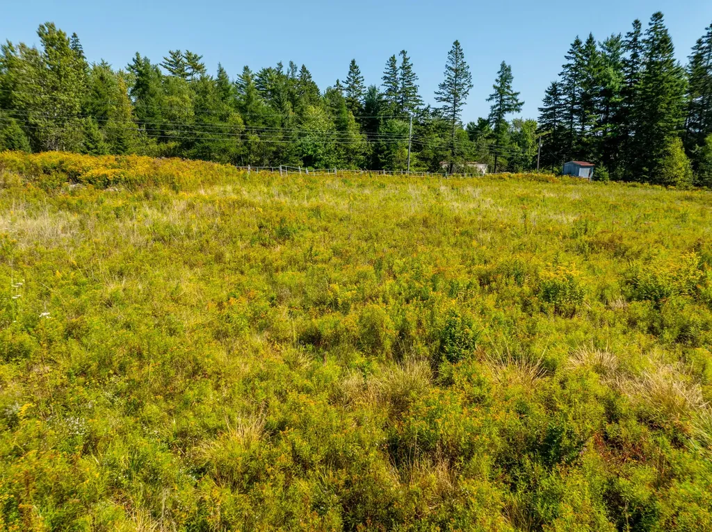 `Map 4, Lot 17, Northfield Road Marshfield ME 04654