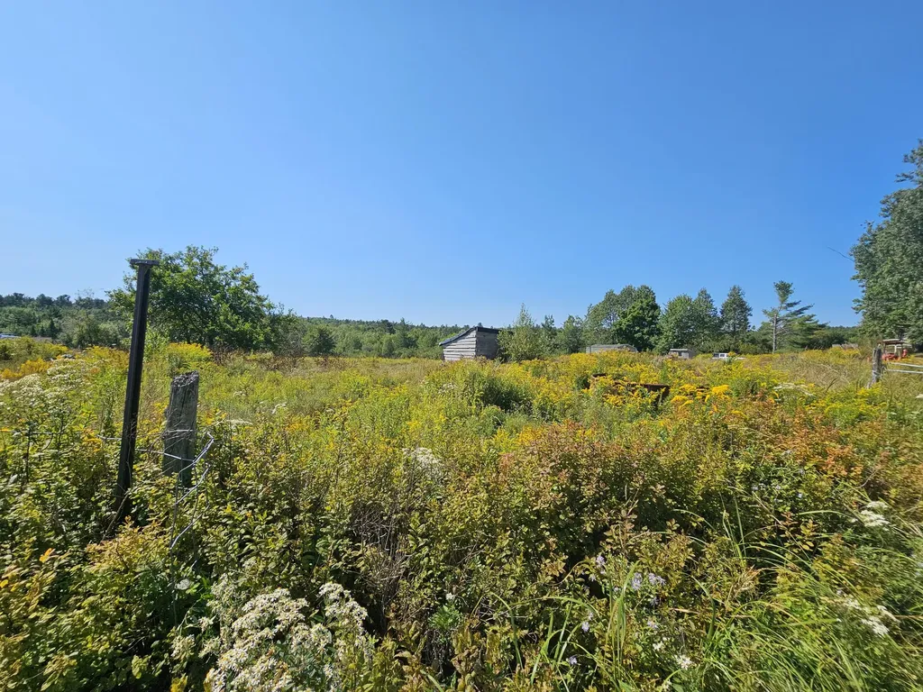 `Map 4, Lot 17, Northfield Road Marshfield ME 04654