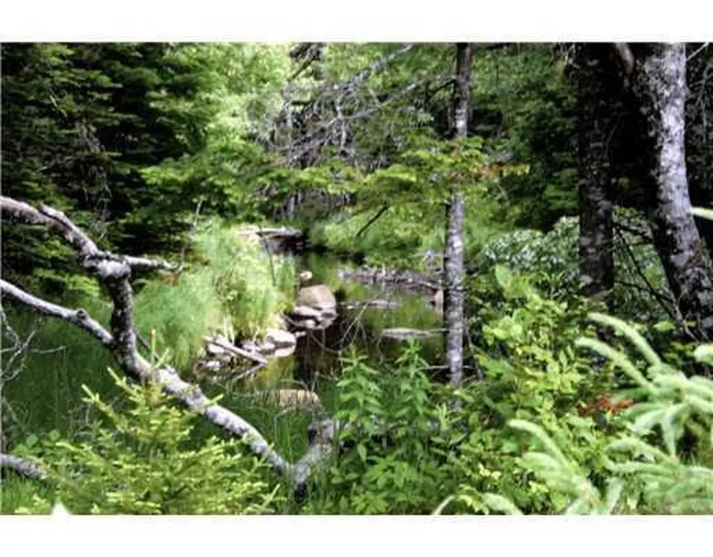 Map 3 - 30 Marshfield Flats Road Marshfield ME 04654
