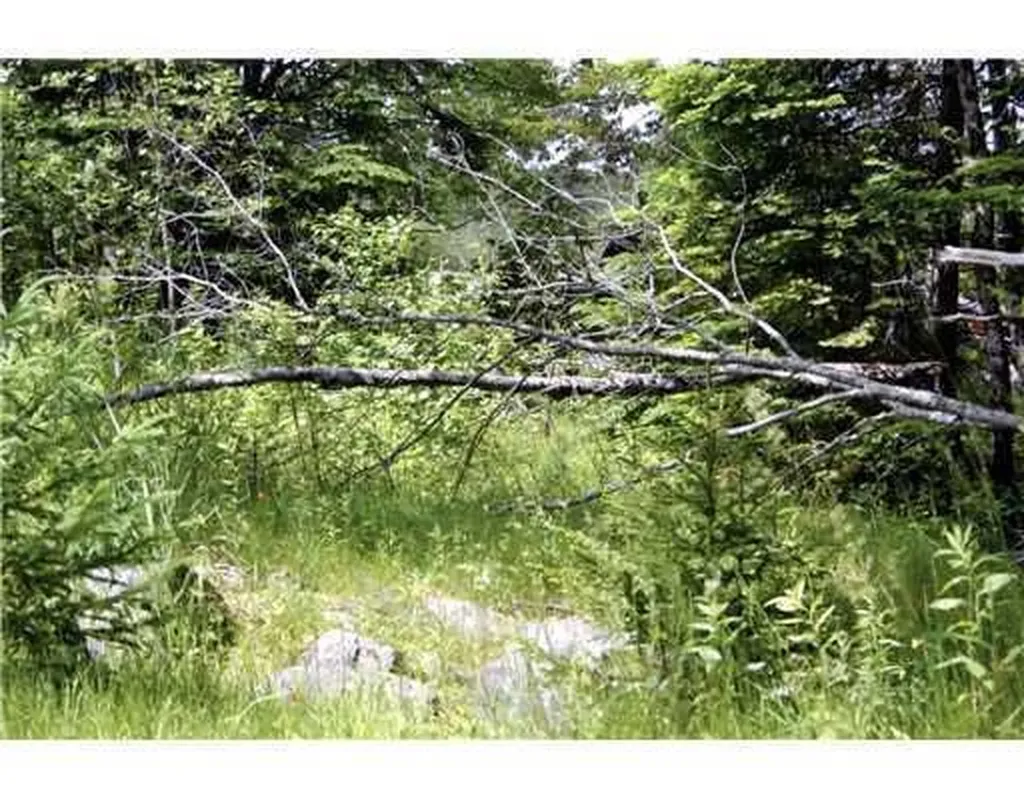 Map 3 - 30 Marshfield Flats Road Marshfield ME 04654