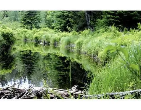 Map 3 - 30 Marshfield Flats Road Marshfield ME 04654