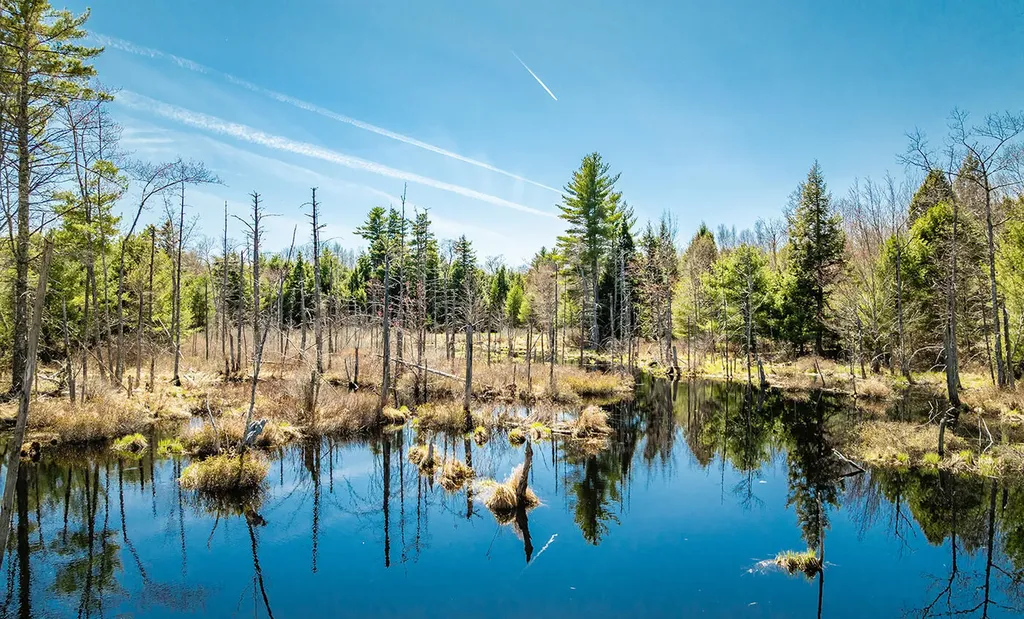 MAP2 Lot21 Howes Cove Road Liberty ME 04949