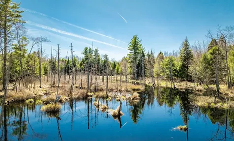 Map2 Lot21 Howes Cove Road Liberty ME 04949