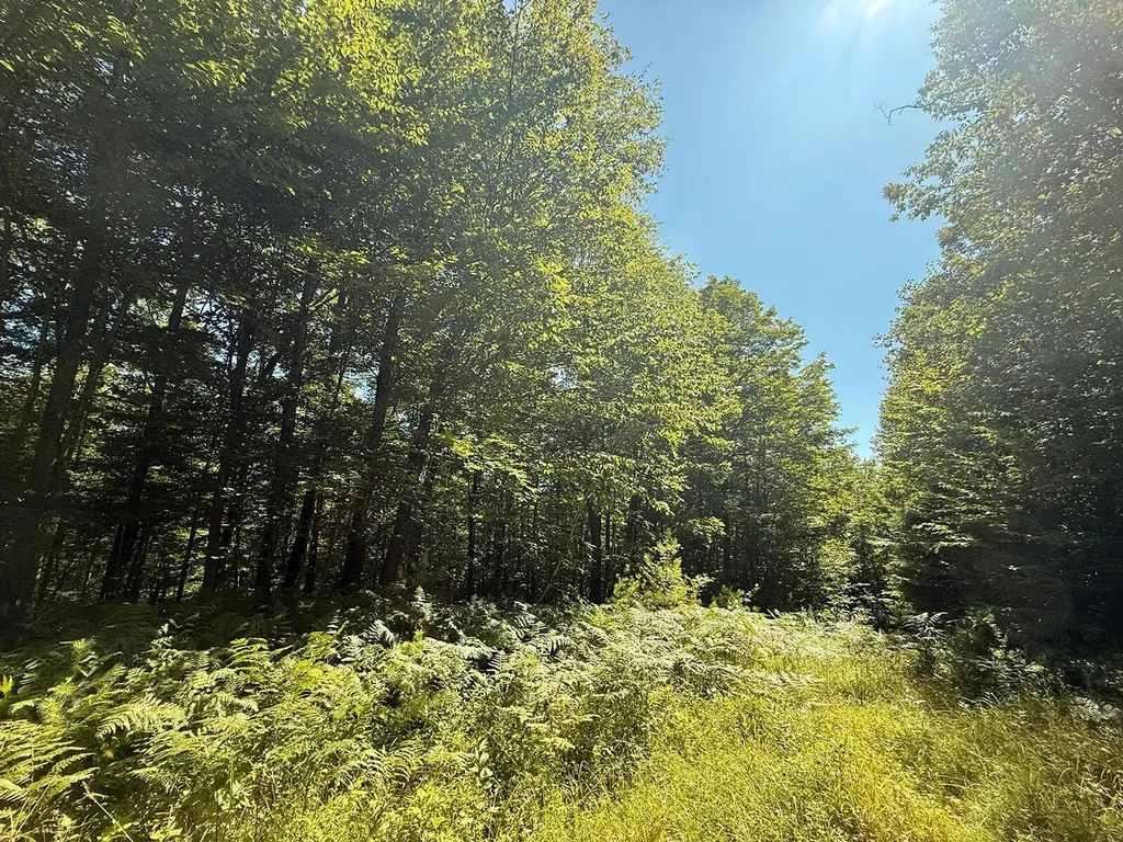 Map R05 Lot 18 Hayes Hill Road Greenwood ME 04255