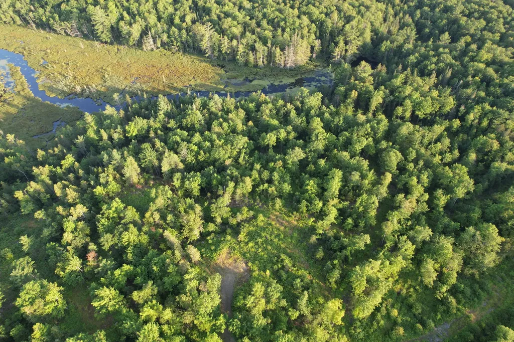 Lot #4 Woods Road Phillips ME 04966