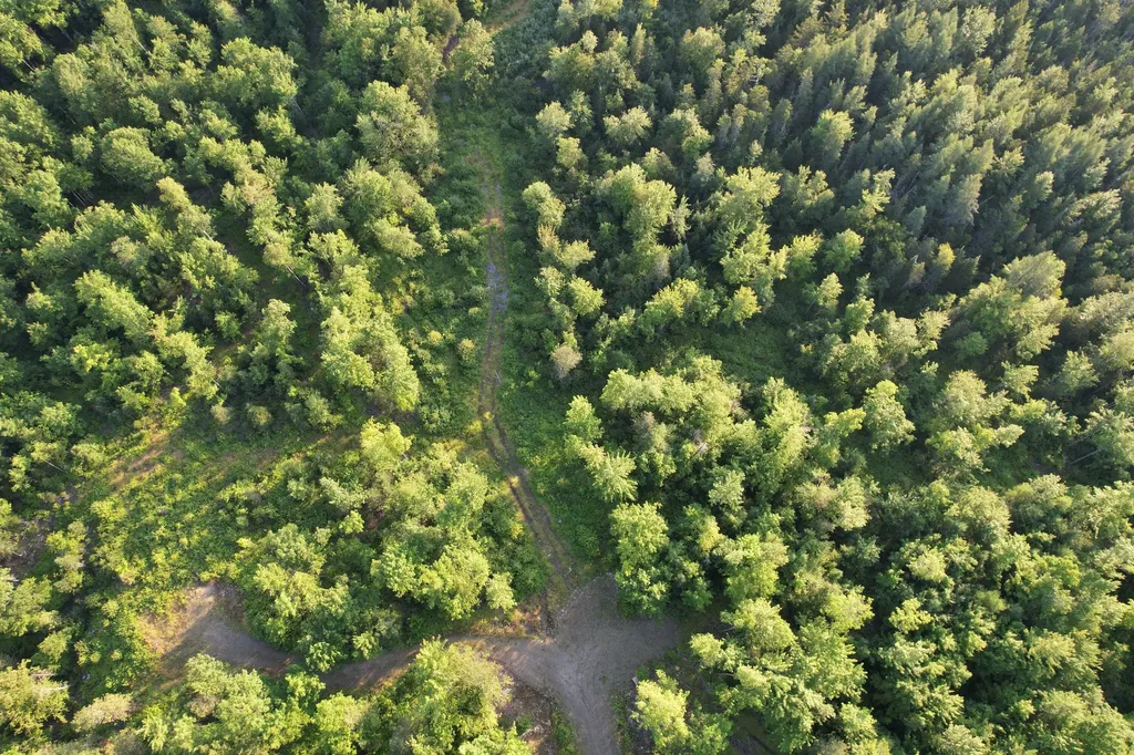 Lot #4 Woods Road Phillips ME 04966