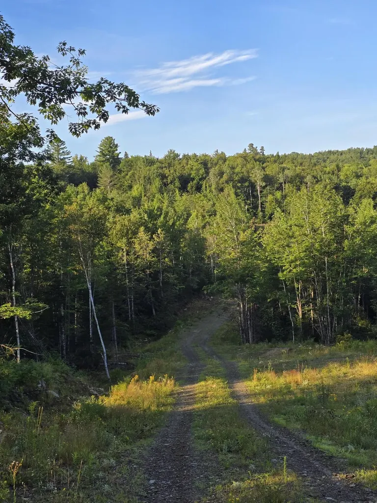 Lot #4 Woods Road Phillips ME 04966