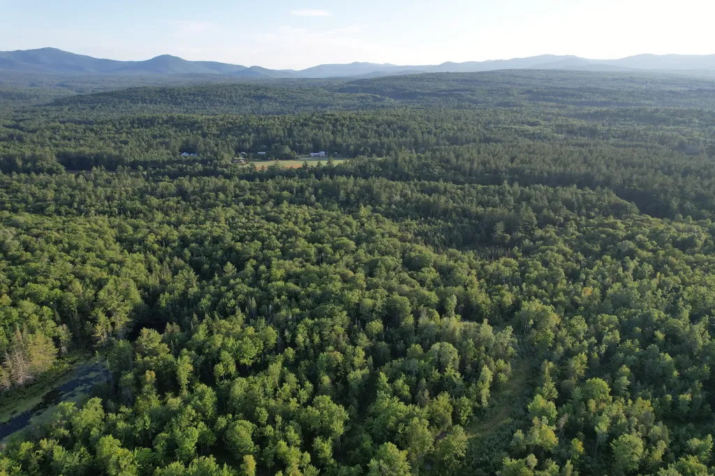 Lot #4 Woods Road Phillips ME 04966