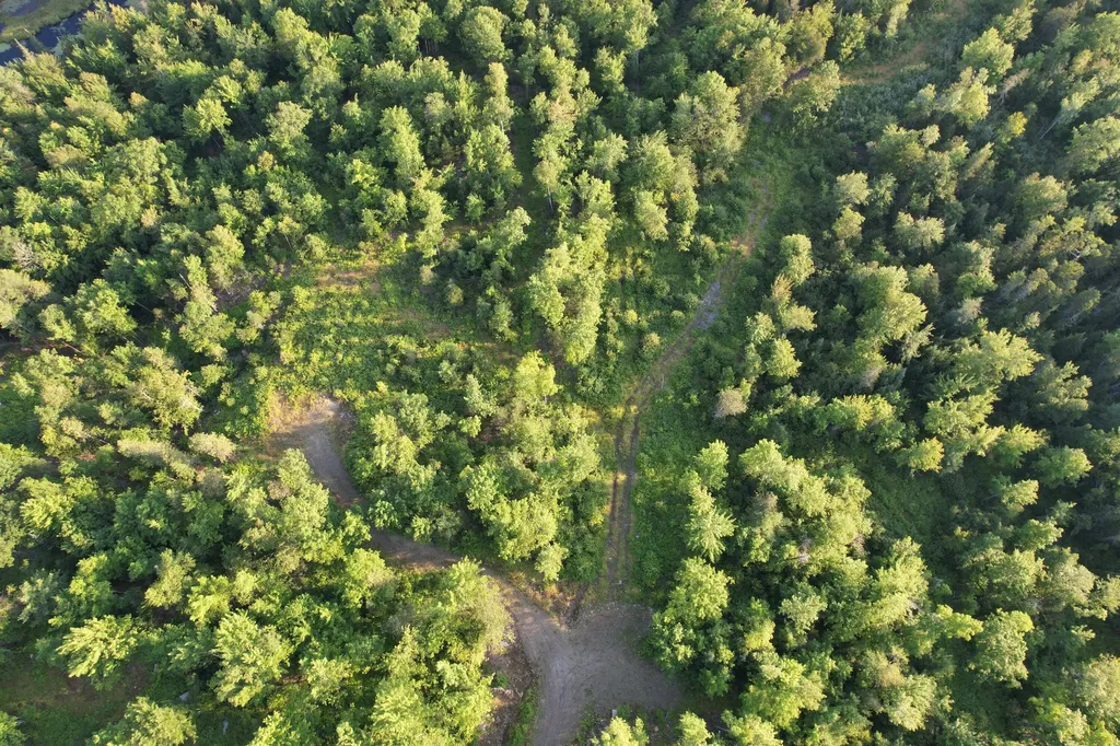 Lot #4 Woods Road Phillips ME 04966