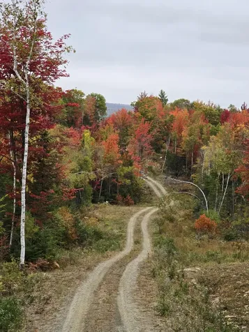 Lot #4 Woods Road Phillips ME 04966