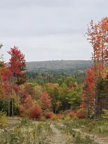 Lot #4 Woods Road Phillips ME 04966