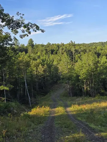 Lot #4 Woods Road Phillips ME 04966