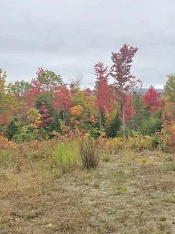 Lot #4 Woods Road Phillips ME 04966