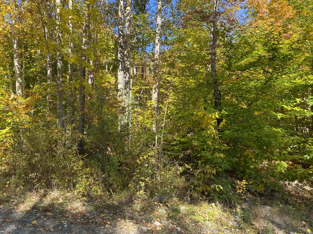 Lot 12 Hillside Drive Kingfield ME 04947