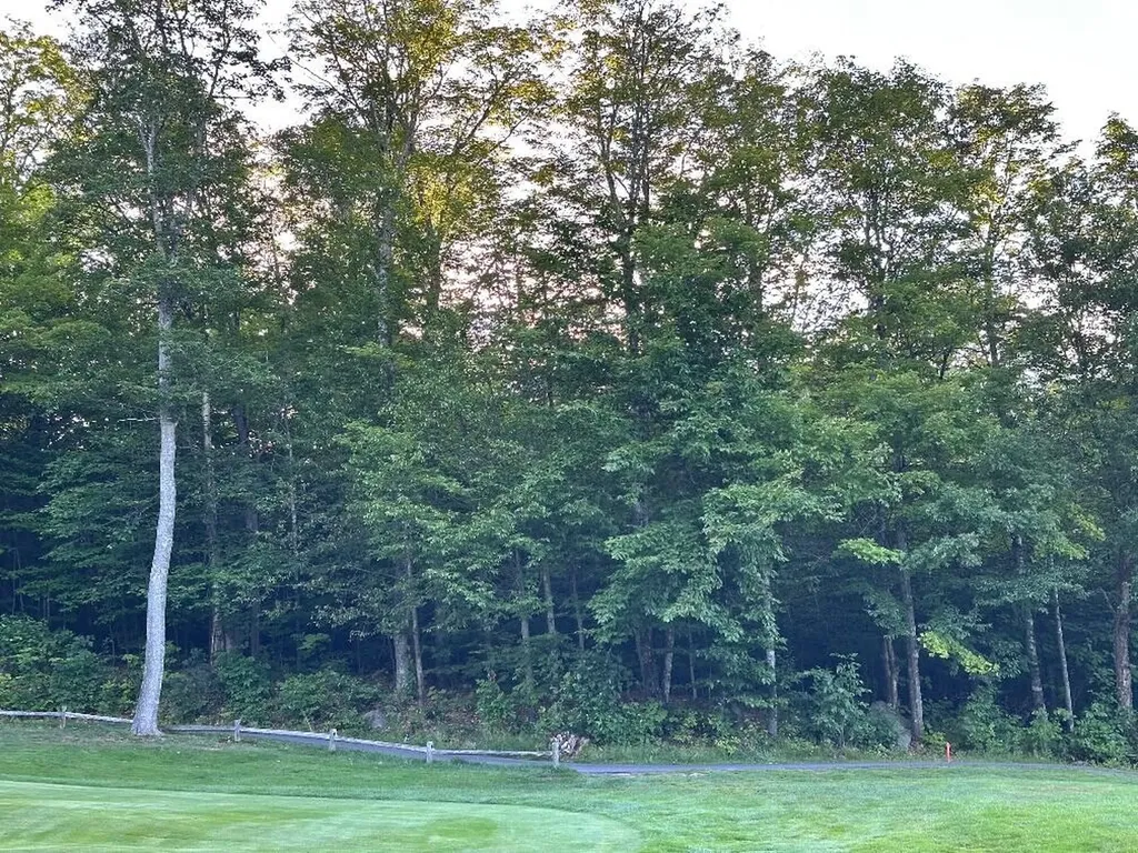 6099 Village On The Green Road Carrabassett Valley ME 04947