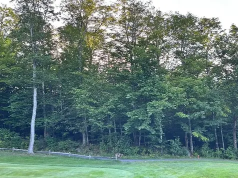 6097 Village On The Green Road Carrabassett Valley ME 04947