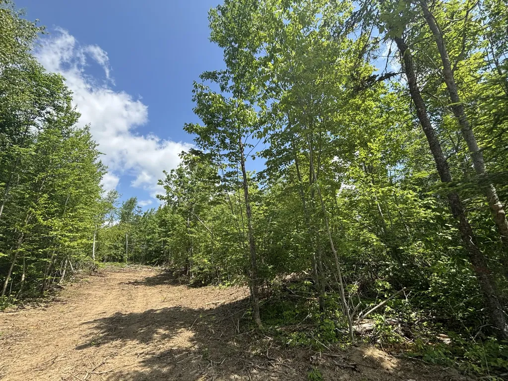 Lot A Mcdonald Road Littleton ME 04730