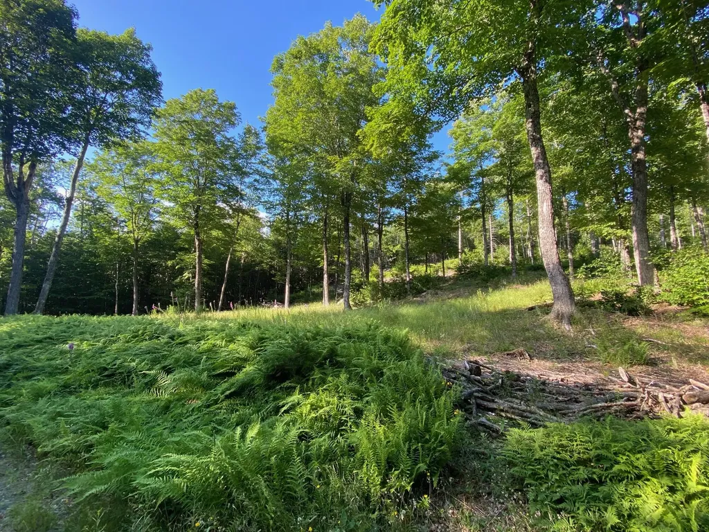 Lot 11b-1 Blair Hill Road Greenville ME 04441