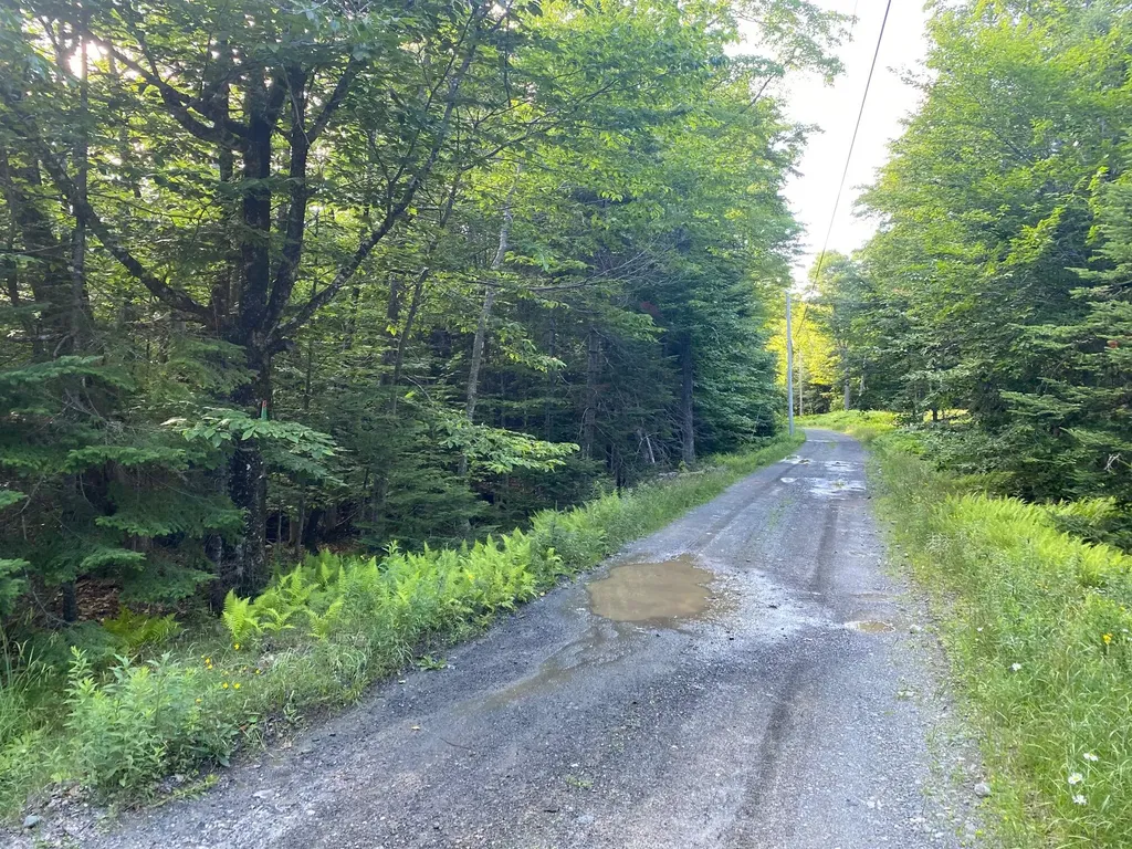 Lot 11b-1 Blair Hill Road Greenville ME 04441