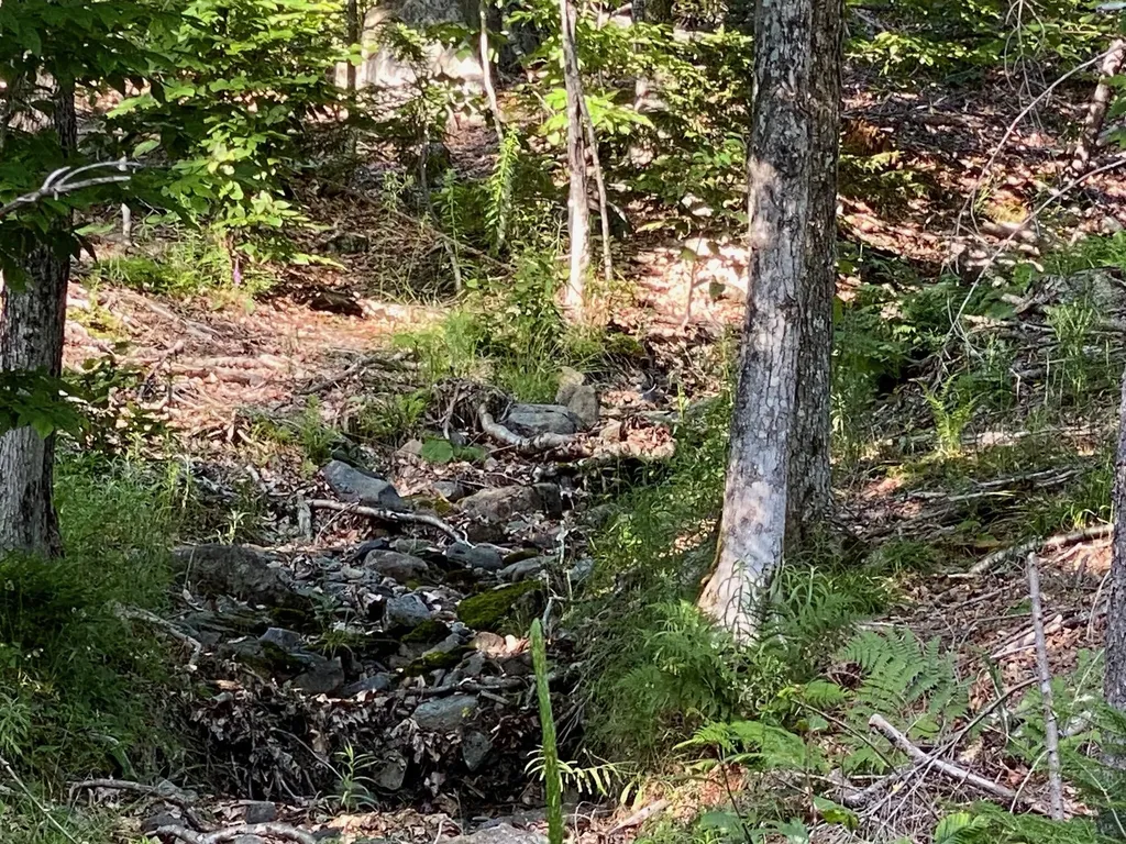 Lot 11b-1 Blair Hill Road Greenville ME 04441